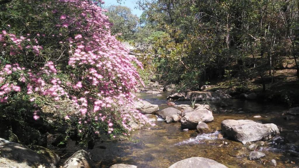 Pousada Toque De Minas Visconde De Maua Exterior foto