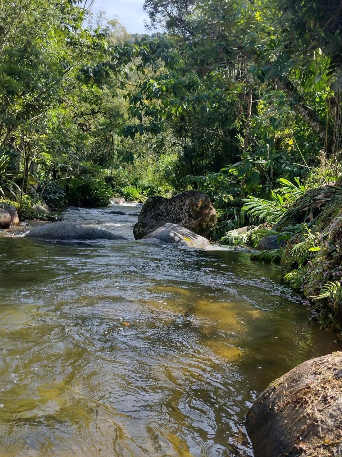 Pousada Toque De Minas Visconde De Maua Exterior foto